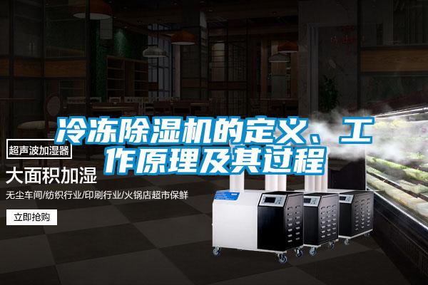 冷冻91抖音免费看片的定义、工作原理及其过程