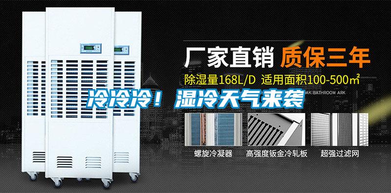 冷冷冷！湿冷天气来袭
