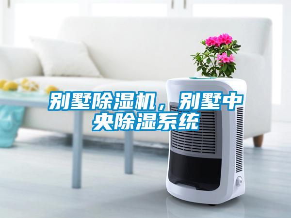别墅91抖音免费看片，别墅中央除湿系统