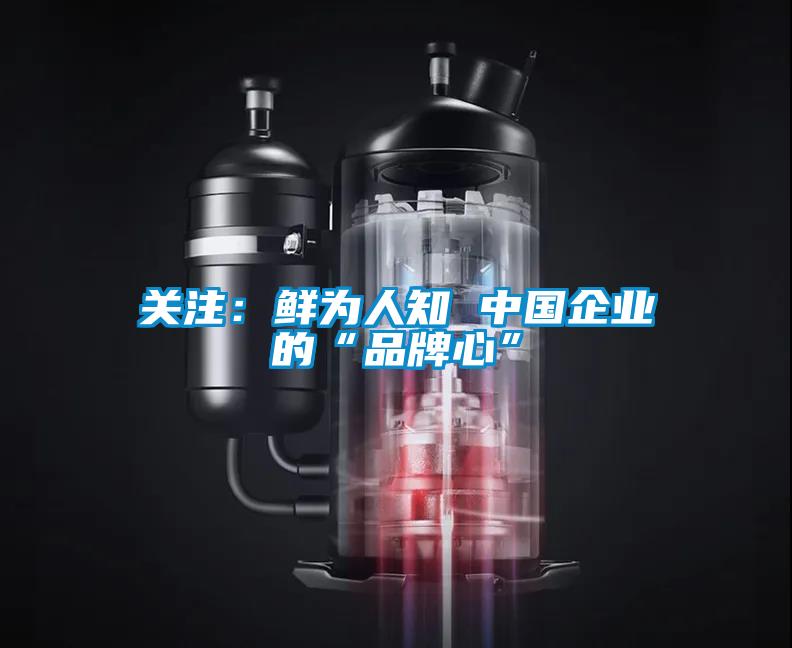 关注：鲜为人知 中国企业的“品牌心”