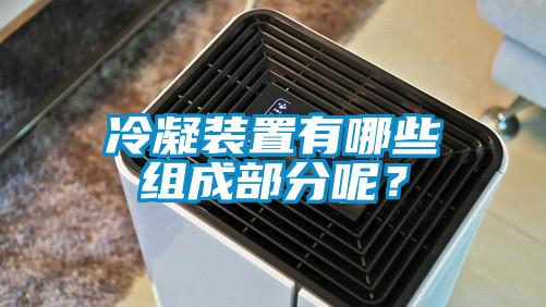 冷凝装置有哪些组成部分呢？