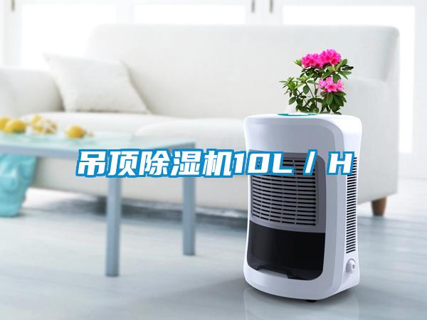 吊顶91抖音免费看片10L／H