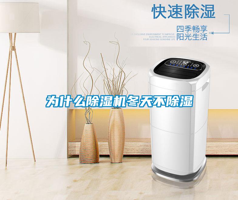 为什么91抖音免费看片冬天不除湿