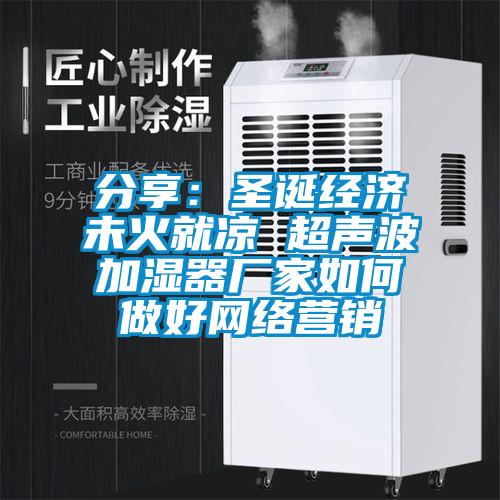 分享：圣诞经济未火就凉 超声波加湿器厂家如何做好网络营销