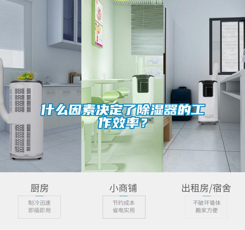 什么因素决定了除湿器的工作效率？