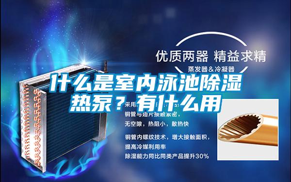 什么是室内泳池除湿热泵？有什么用
