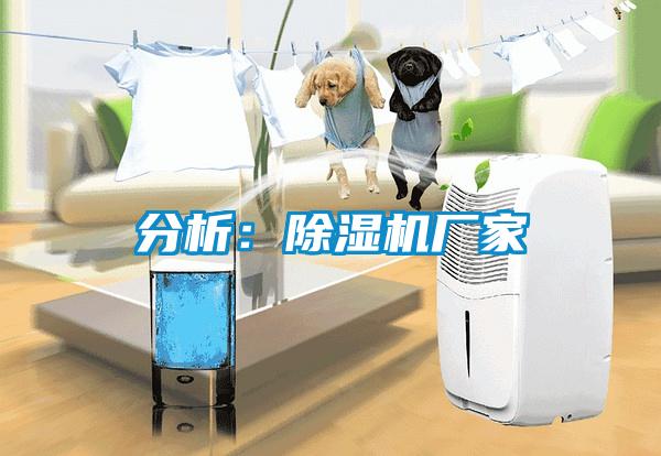分析：91抖音免费看片厂家