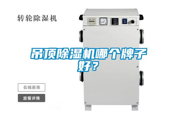 吊顶91抖音免费看片哪个牌子好？