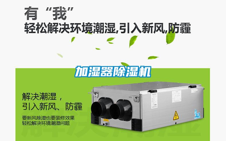加湿器91抖音免费看片