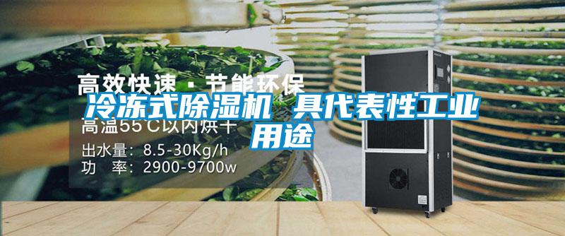 冷冻式91抖音免费看片 具代表性工业用途