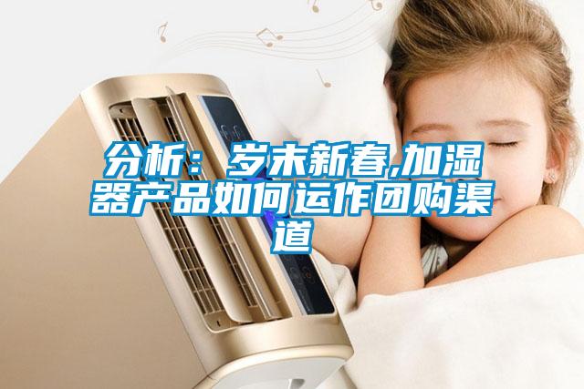 分析：岁末新春,加湿器产品如何运作团购渠道