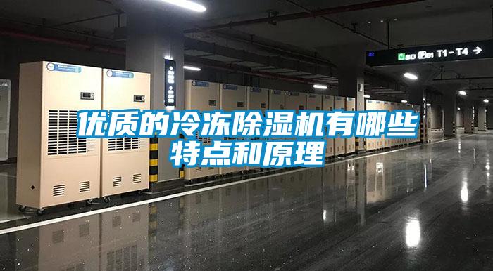 优质的冷冻91抖音免费看片有哪些特点和原理