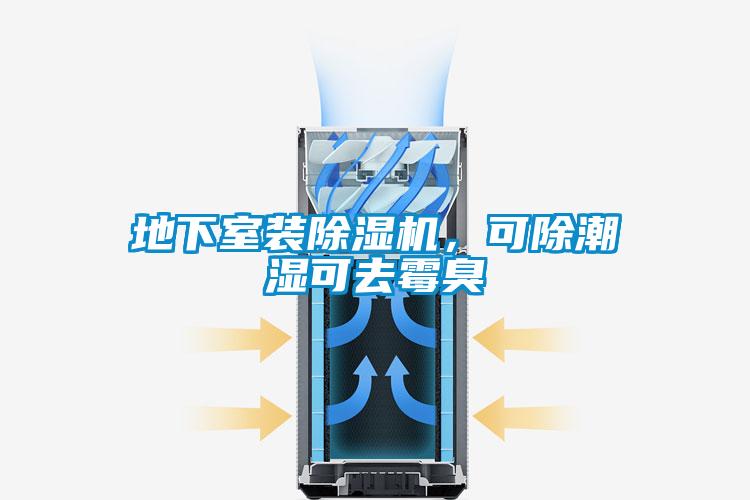 地下室装91抖音免费看片，可除潮湿可去霉臭