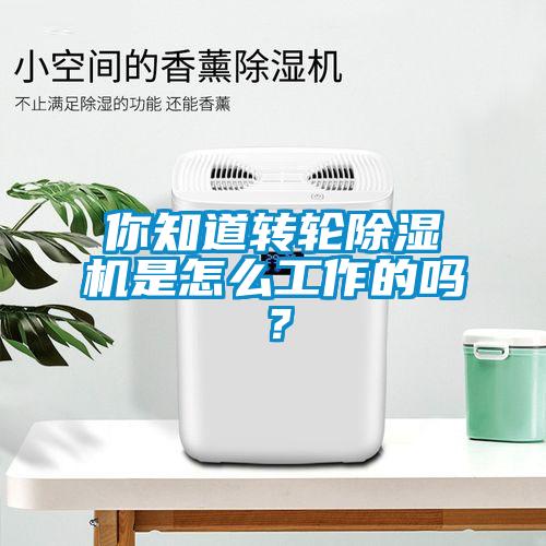 你知道转轮91抖音免费看片是怎么工作的吗？