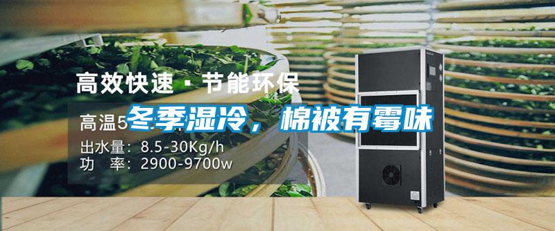 冬季湿冷，棉被有霉味