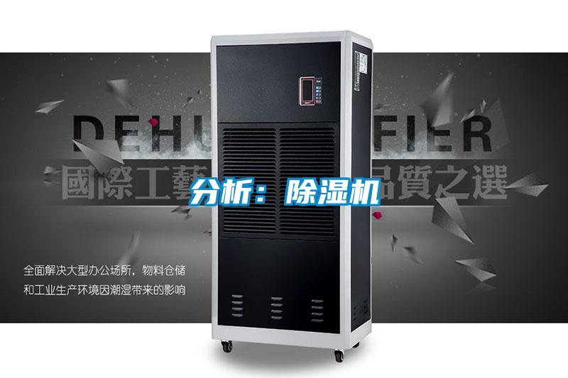 分析：91抖音免费看片