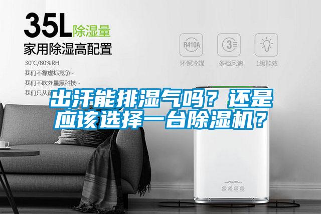 出汗能排湿气吗？还是应该选择一台91抖音免费看片？