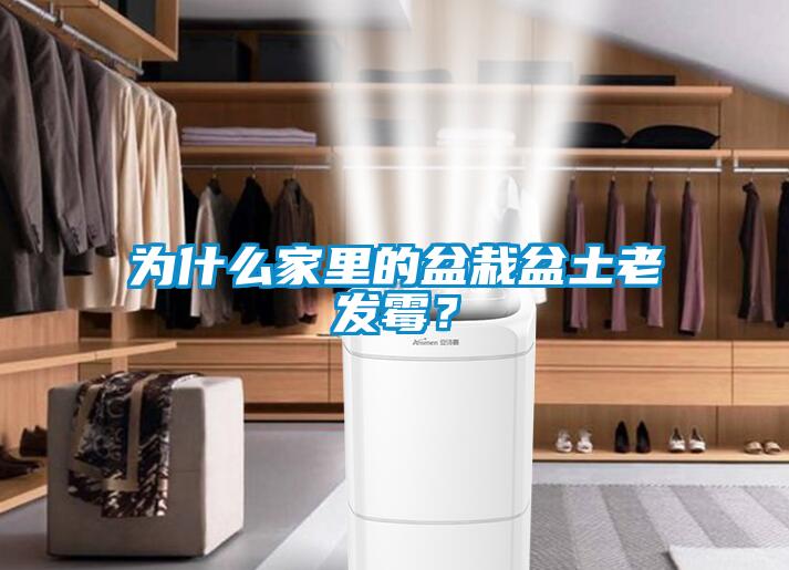 为什么家里的盆栽盆土老发霉？