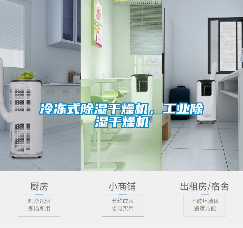 冷冻式除湿干燥机，工业除湿干燥机