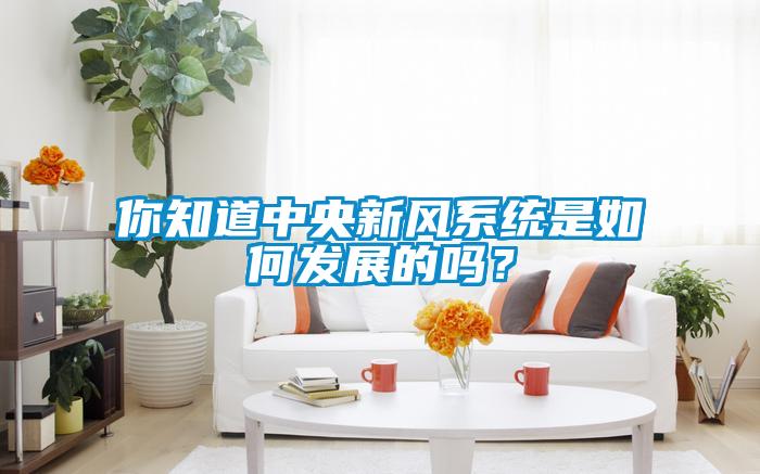 你知道中央新风系统是如何发展的吗？