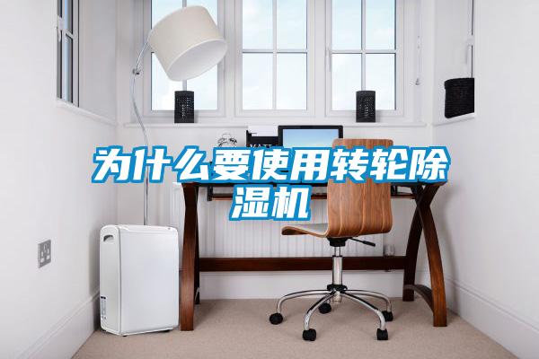 为什么要使用转轮91抖音免费看片