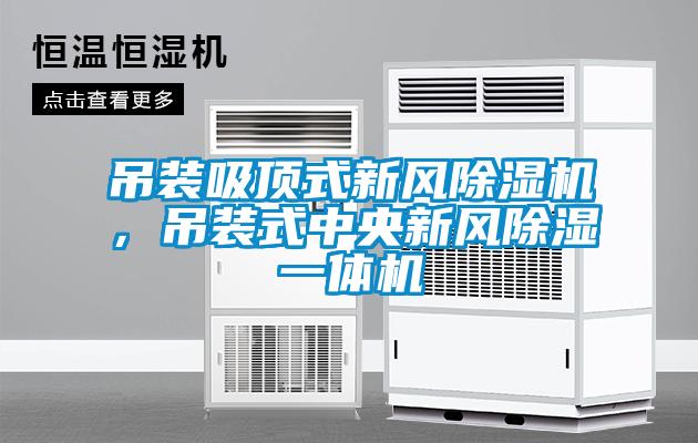 吊装吸顶式新风91抖音免费看片，吊装式中央新风除湿一体机