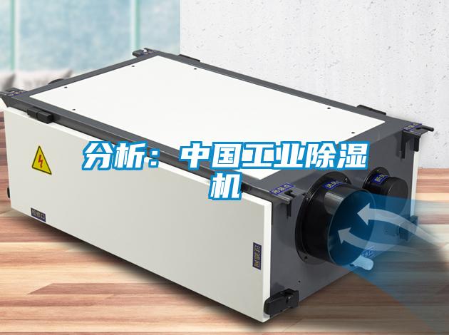 分析：中国工业91抖音免费看片