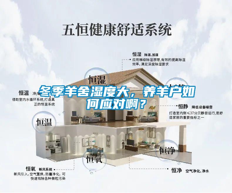 冬季羊舍湿度大，养羊户如何应对啊？