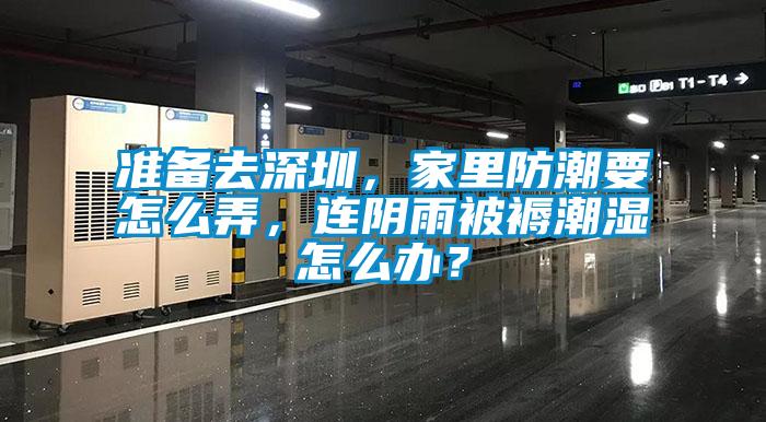 准备去深圳，家里防潮要怎么弄，连阴雨被褥潮湿怎么办？
