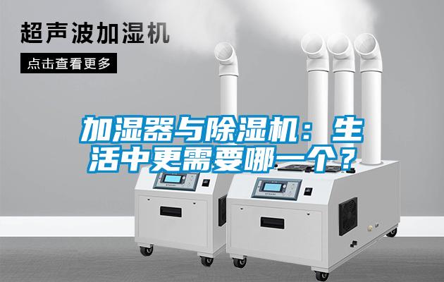 加湿器与91抖音免费看片：生活中更需要哪一个？