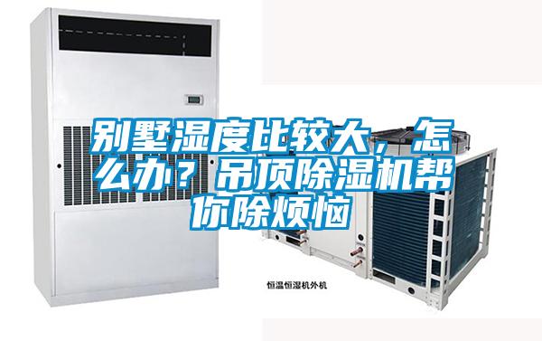 别墅湿度比较大，怎么办？吊顶91抖音免费看片帮你除烦恼