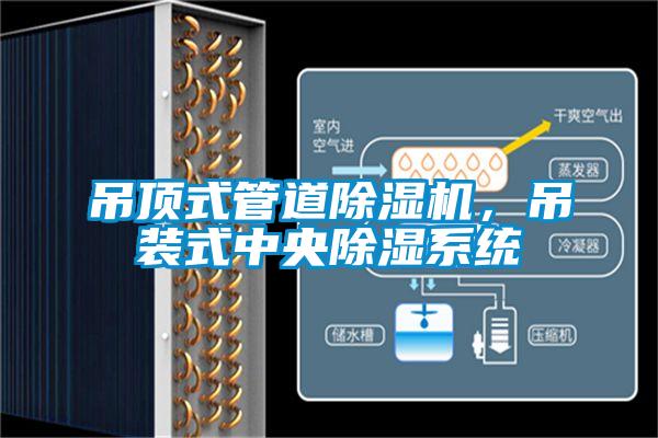 吊顶式管道91抖音免费看片，吊装式中央除湿系统