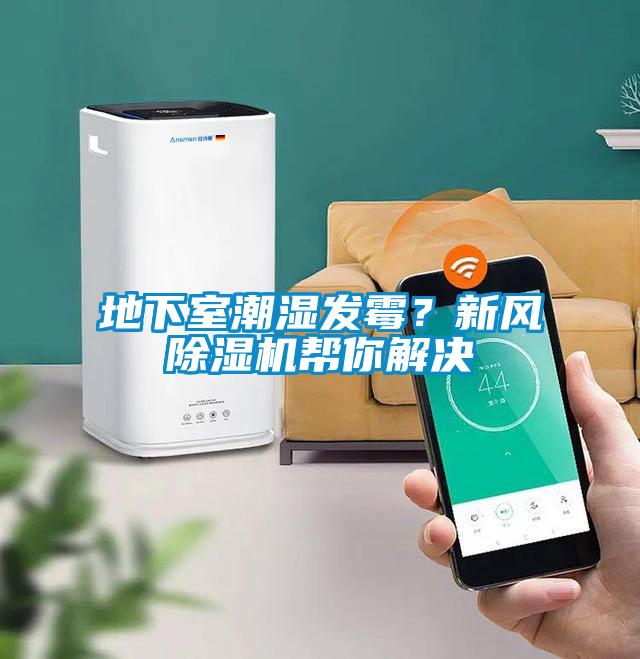 地下室潮湿发霉？新风91抖音免费看片帮你解决