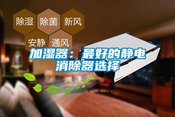 加湿器：最好的静电消除器选择