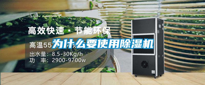 为什么要使用91抖音免费看片