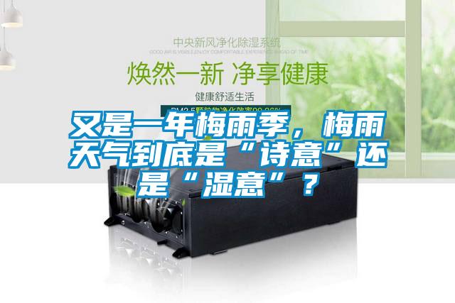 又是一年梅雨季，梅雨天气到底是“诗意”还是“湿意”？