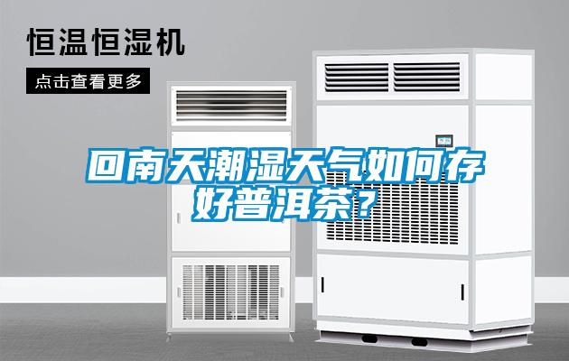 回南天潮湿天气如何存好普洱茶？