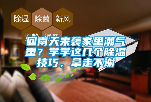 回南天来袭家里潮气重？学学这几个除湿技巧，拿走不谢