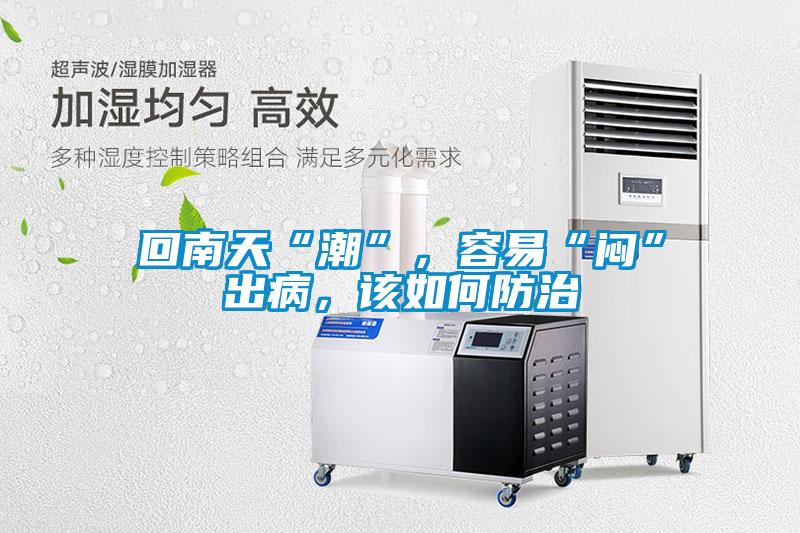 回南天“潮”，容易“闷”出病，该如何防治