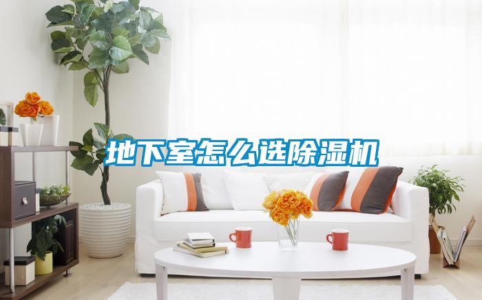 地下室怎么选91抖音免费看片