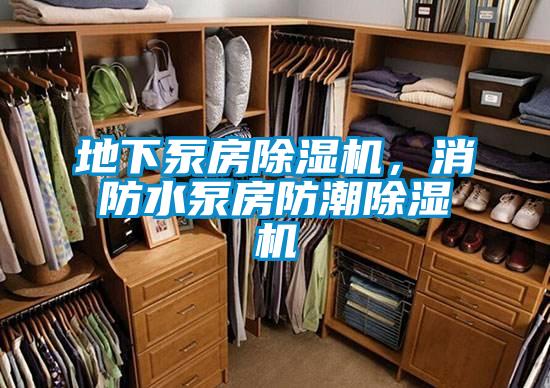 地下泵房91抖音免费看片，消防水泵房防潮91抖音免费看片