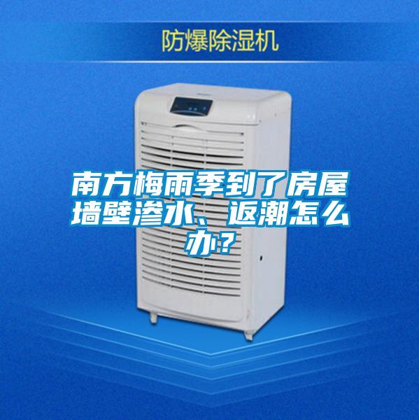 南方梅雨季到了房屋墙壁渗水、返潮怎么办？