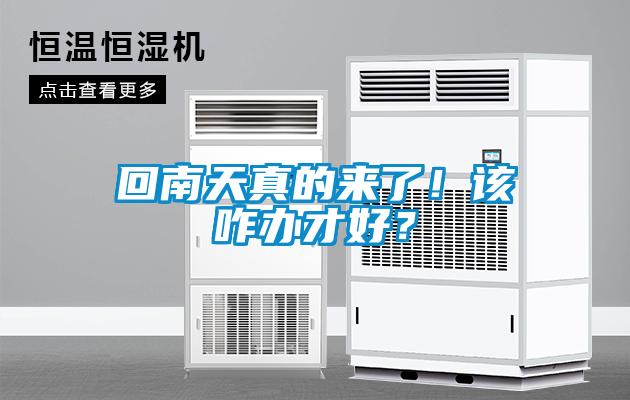 回南天真的来了！该咋办才好？
