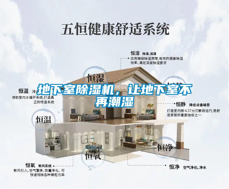 地下室91抖音免费看片，让地下室不再潮湿
