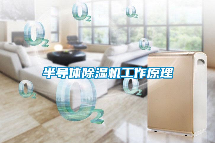 半导体91抖音免费看片工作原理