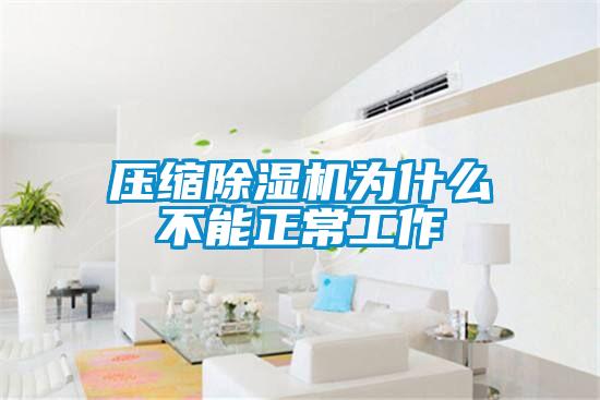 压缩91抖音免费看片为什么不能正常工作