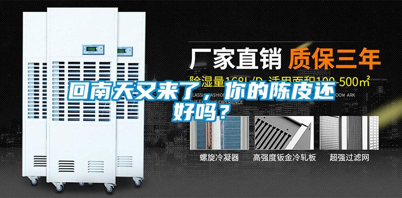 回南天又来了，你的陈皮还好吗？