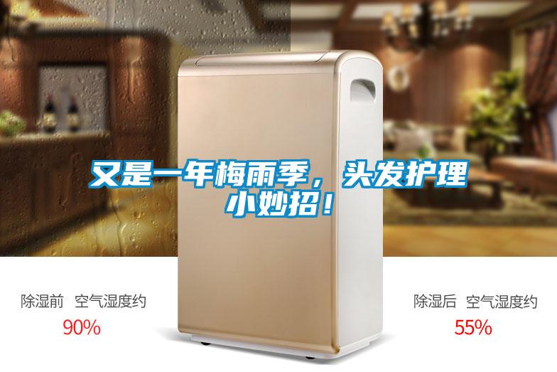 又是一年梅雨季，头发护理小妙招！