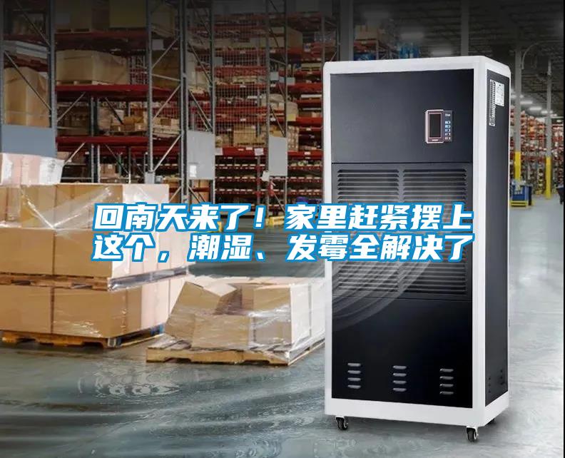 回南天来了！家里赶紧摆上这个，潮湿、发霉全解决了