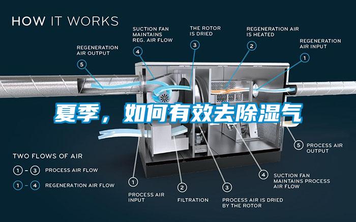夏季，如何有效去除湿气